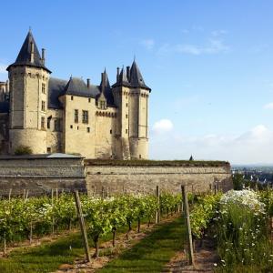 Loire Chateau
