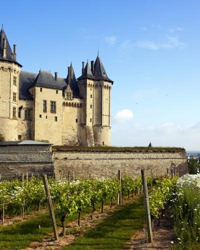 Loire Chateau Loire Chateau