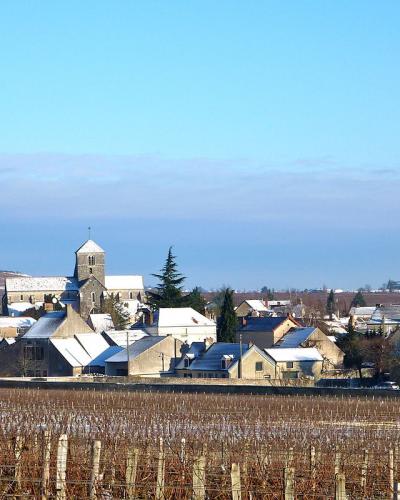 Nuits Saint Georges Nuits Saint Georges