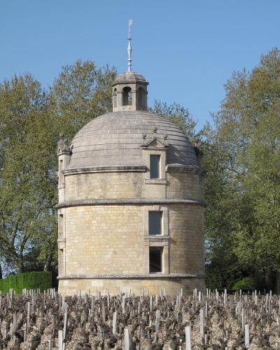 Vineyard Latour Vineyard Latour