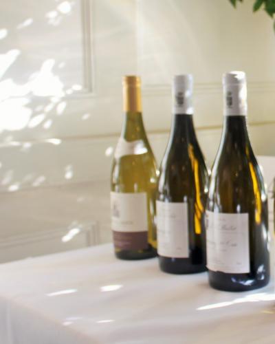 White Burgundy White Burgundy