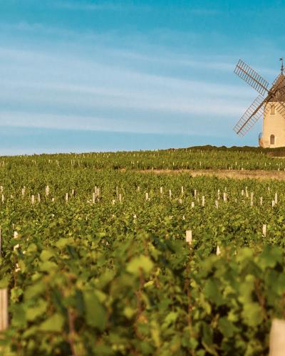 Beaujolais Beaujolais
