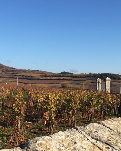 Burgundy 2018 Burgundy 2018