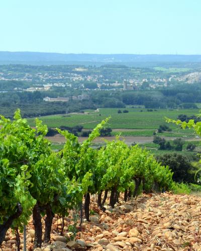 Chateauneuf Chateauneuf