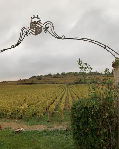 Montrachet Montrachet