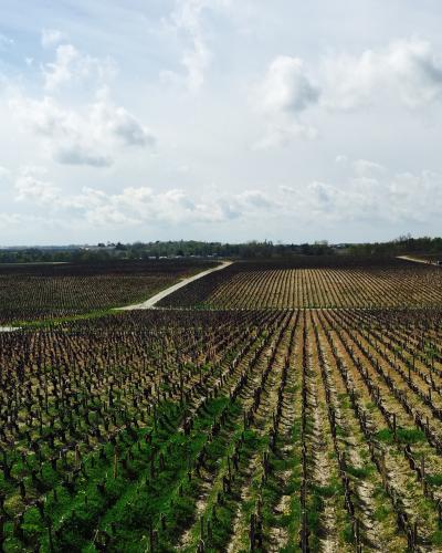 Langhe Langhe