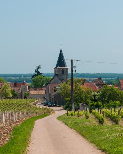 Vosne Romanee Vosne