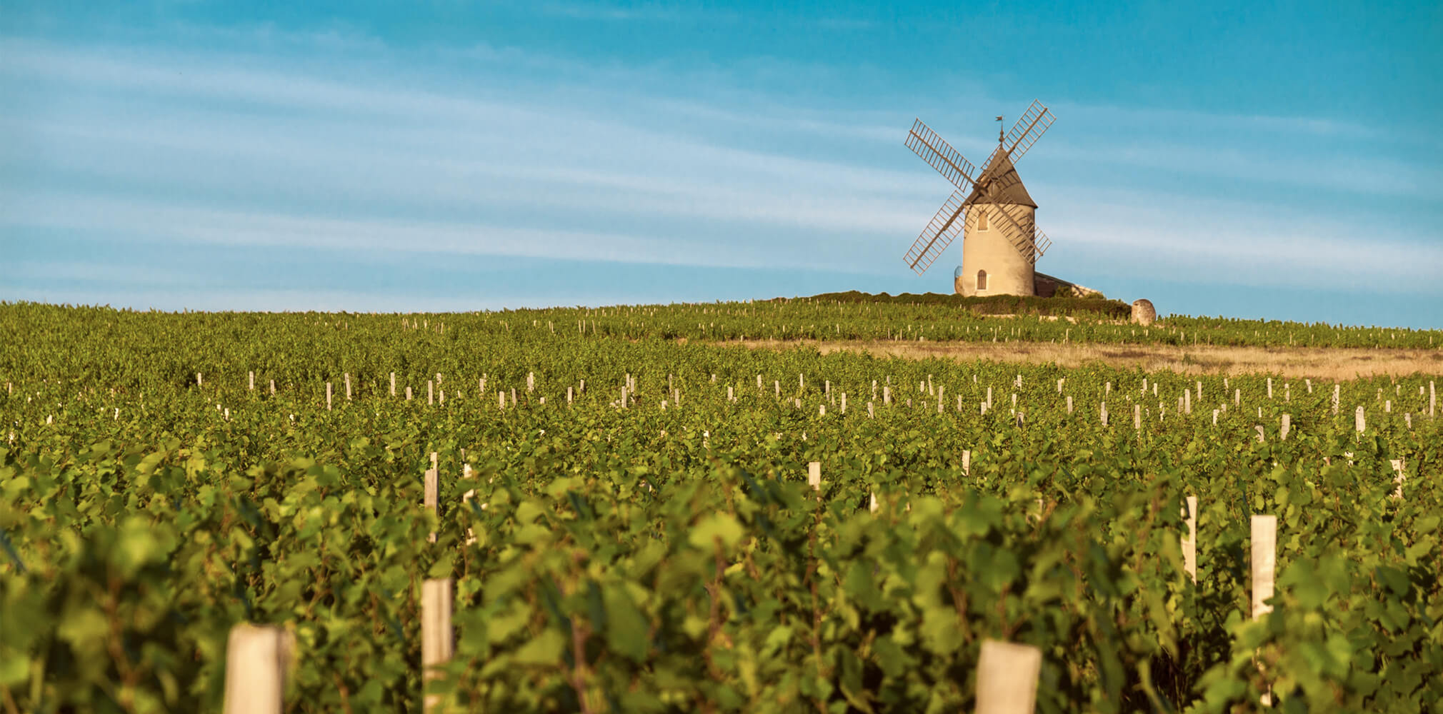 Beaujolais